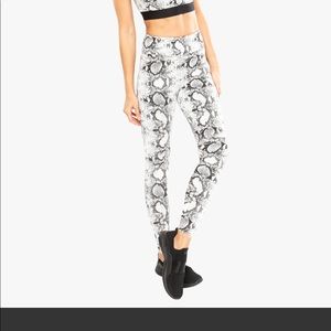 Koral! New this season